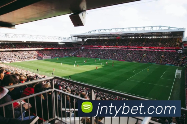 江南体育APP 封面图