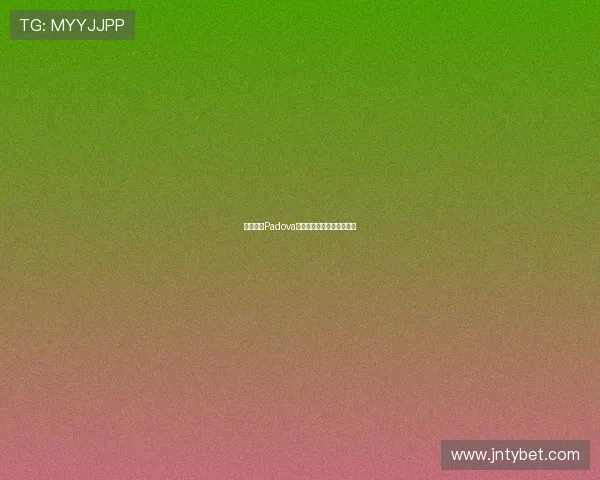 意甲球队Padova：从历史到现状的全面分析